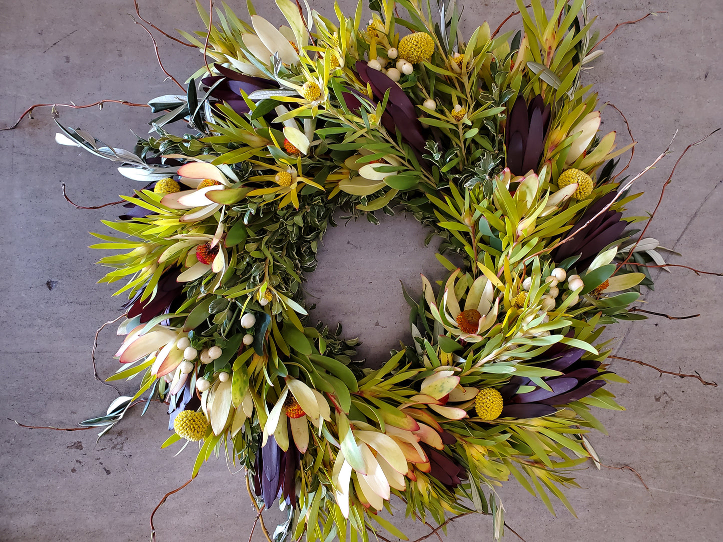 Morning Sunrise Leucadendron Wreath