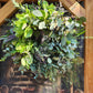 Fresh Eucalyptus Wreath