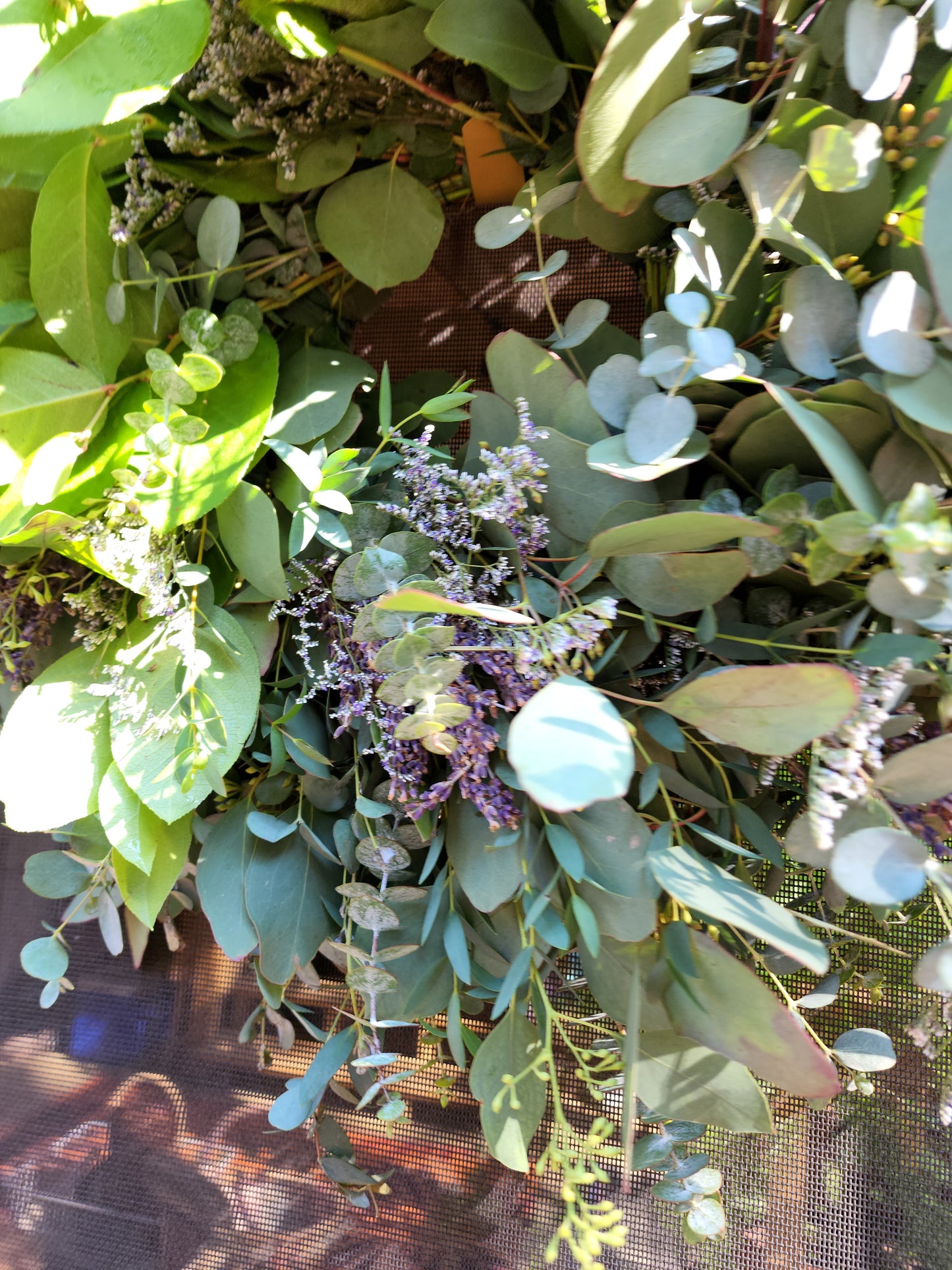 Fresh Eucalyptus Wreath