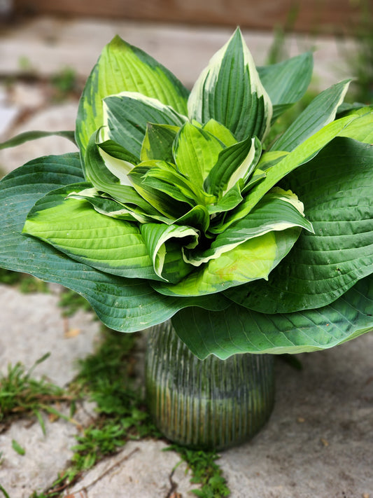 Green Bouquets