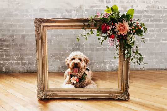 Flowers and Fur Friends: Pet Portraits